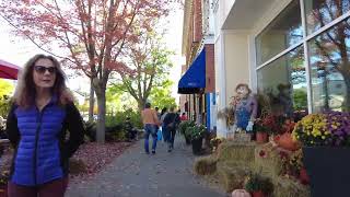 Niagara On The Lake Walking Tour  Ontario Canada [upl. by Zamir358]