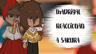 ✨algunos madrigales reaccionan a sakura haruno✨ parte 2 corto [upl. by Masera]