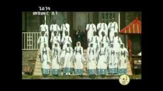 Zemari Fekadu Amare ዘማሪ ፈቃዱ አማረ Enamesegenehalen [upl. by Leeanne]