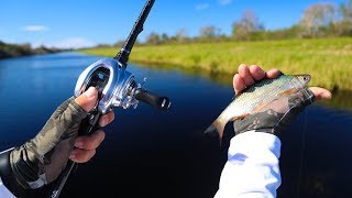 Fishing With Wild Shiners for Big Bass Stick Marsh  Jiggin With Jordan [upl. by Silas]