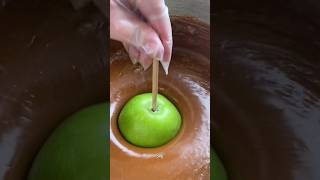 Apple Chocolate Dipping amp Mixing [upl. by Silverstein]