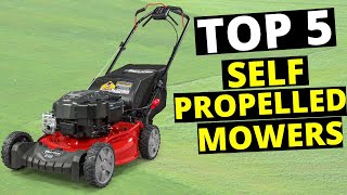 Briggs amp Stratton  How To Tune Up Your Push Lawn Mower Engine [upl. by Just179]