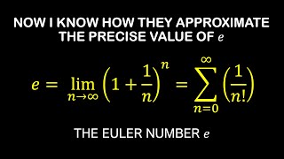 How Do They Compute The Euler Number e [upl. by Solis]