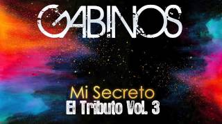 GABINOSMi Secreto El Tributo Vol 3 [upl. by Ensign]