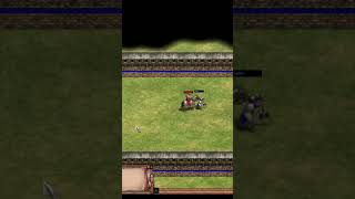 Elite Cataphract Vs Elite Throwing Axeman  AOE2 Definitive Edition [upl. by Anitnemelc]