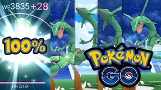 1 Tag 45 Raids und Niantic gönnt mir ein perfektes Rayquaza  Pokémon GO Deutsch 928 [upl. by Corwun]