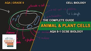 Animal and Plant Cells  GCSE Science Biology AQA [upl. by Llertnad]