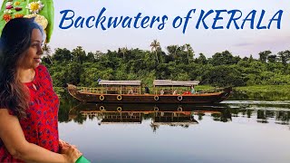 KERALA  BACKWATERS in India detailed info  KochiAlleppeyKumarakom HOUSEBOAT Tour Taj resort [upl. by Mond]