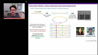 Sequencing SingleStrand Mismatch and Damage Patterns by LongRead Sequencing [upl. by Ylesara891]