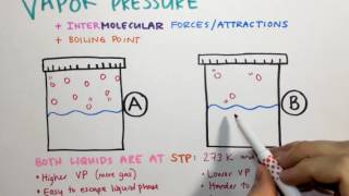 23 Vapor Pressure IMFs and Boiling Point [upl. by Goldie]