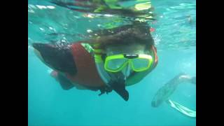 Bali Snorkeling Tour Tanjung Benoa Nusa Dua HD [upl. by Hoffmann]