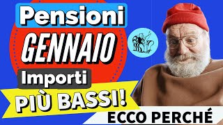 PENSIONI GENNAIO 2024 👉 IMPORTO PIÙ BASSO sul CEDOLINO❓ Ecco perché [upl. by Dail]