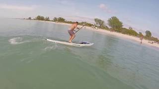 Paddle Board Surfing and Dolphins at Jetty in Venice Florida  Jetty Rentals [upl. by Ynattyrb33]