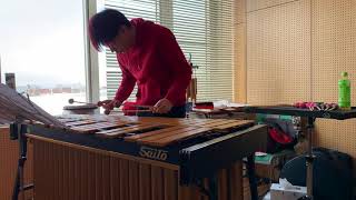 Adagio for Glass Harmonica K356  WAMozart Vibraphone Solo Ver [upl. by Nygem]