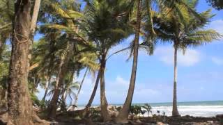 Les belles eaux de Guadeloupe Plage de granbd bassin Doyon Capesterre Belle eau 97130 Guadeloupe [upl. by Avra730]