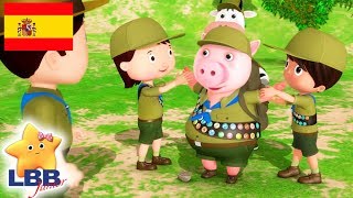 Canciones para Niños  Ir de camping  Canciones Infantiles  Little Baby Bum Júnior [upl. by Robena619]