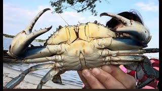 Crabbing New Jersey4th of July 2024 [upl. by Akemehc]