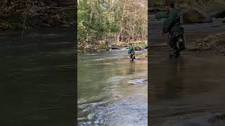 Tight Line Nymphing small streams for wild trout fishing wild flyfishing trout streams [upl. by Vas577]