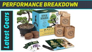 Complete DIY Starter Bonsai Tree Kit  Grow 3 Mini Bonsai Trees at Home [upl. by Ytsirhc460]