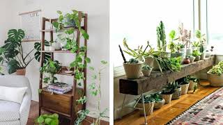 37 Idées géniales pour décorer votre intérieur avec des plantes verte [upl. by Gypsy650]