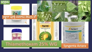 Syngenta Actara Insecticide in Telugu  Thiamethoxam 25 WG  ఆక్టర పూర్తీ వివరాలు తెలుగు లో [upl. by Lleunamme]