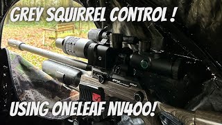 Grey Squirrel Control with the Oneleaf NV400 Scope amp FX Crown MKII Shooting NSA 202g Slugs [upl. by Oag]