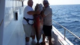 Destin Florida Fishing Report  Giant Amberjack [upl. by Atsocal]