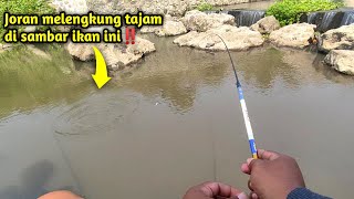 Langsung dapat jack pot‼️Mancing di bawah dam kotesan‼️ [upl. by Scandura832]