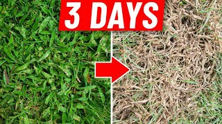 Crabgrass Destroyed in 3 Days  How to Get Rid of Crab Grass [upl. by Acissey452]