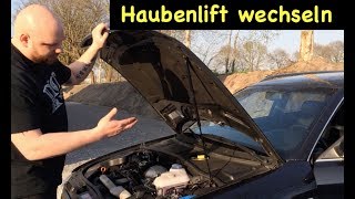 Haubenlift  Gasfeder  Dämpfer ersetzten  austauschen Liftomat ⏫ Beispiel Audi A4 B5 [upl. by Marie-Jeanne]