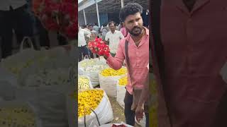 Chikkaballapur flowers market today 🌹 450500 [upl. by Dominga]