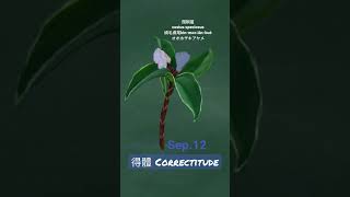 【366花語Sep12】得體  correctitude [upl. by Munford]