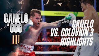 12 ROUND MASTERCLASS  Canelo Alvarez vs Gennadiy GGG Golovkin 3 Fight Highlights [upl. by Salomon]