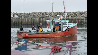 Nova Scotia Mi’kmaq chiefs say Ottawa’s new fisheries plan is unacceptable [upl. by Leber]