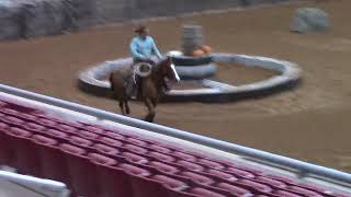 Mike Jeffers riding Gus 2024 futurity first round [upl. by Eilsel]