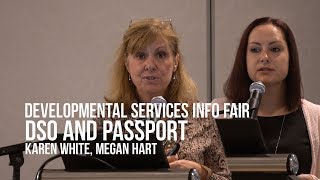 Developmental Services Ontario DSO Access to Services Supports and Passport Funding [upl. by Ordway]