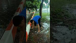 So Many Debris And Leaves Clogged Culvert Drain unclog remove drain shorts [upl. by Atteiram]