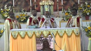 Holy Mass by Mar Raphael Thattil at St Josephs Church Ollukkara [upl. by Dinnie]