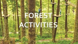 North York Moors  Forest Activities [upl. by Ax865]