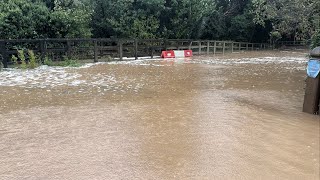 Rufford Ford badly flooded  live stream [upl. by Acissey]