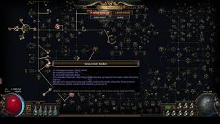 PoE 316 Scourge CWDT Guide [upl. by Nhor794]