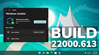 New Windows 11 Update 22000613  Memory Leaks Fixed Settings Changes and Security Improvements [upl. by Ziom]