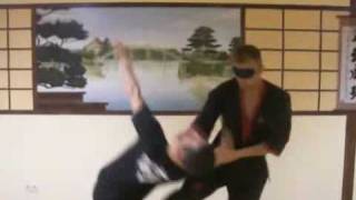 MWTA  Wing Tzun  Sifu Marcin Mischke Part 2 [upl. by Etteiluj]