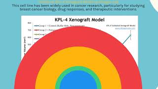 KPL4 Xenograft Model [upl. by Adamik]