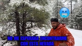 Una de las primeras nevadas en las montañas de Arizona ❄️🥶 [upl. by Niklaus863]