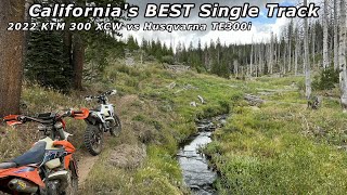 2022 Ktm 300 XCW Vs 2022 Husqvarna TE300i  Single Track Ride And Review  Kennedy Meadows [upl. by Maer]