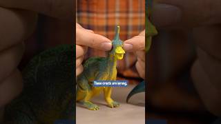 Tsintaosaurus used Confusion It was Super Effective dinosaur dinosaurs education toys science [upl. by Mailliwnhoj]