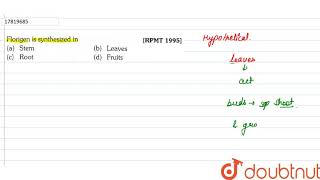 florigen is synthesised in [upl. by Mosera]