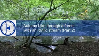 Autumn hike through a forest with an idyllic stream Part 2 [upl. by Akimyt]