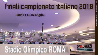 FINALI CAMPIONATO ITALIANO 815 2018 ARTISTICO VS CIPRIANO [upl. by Imoyaba]